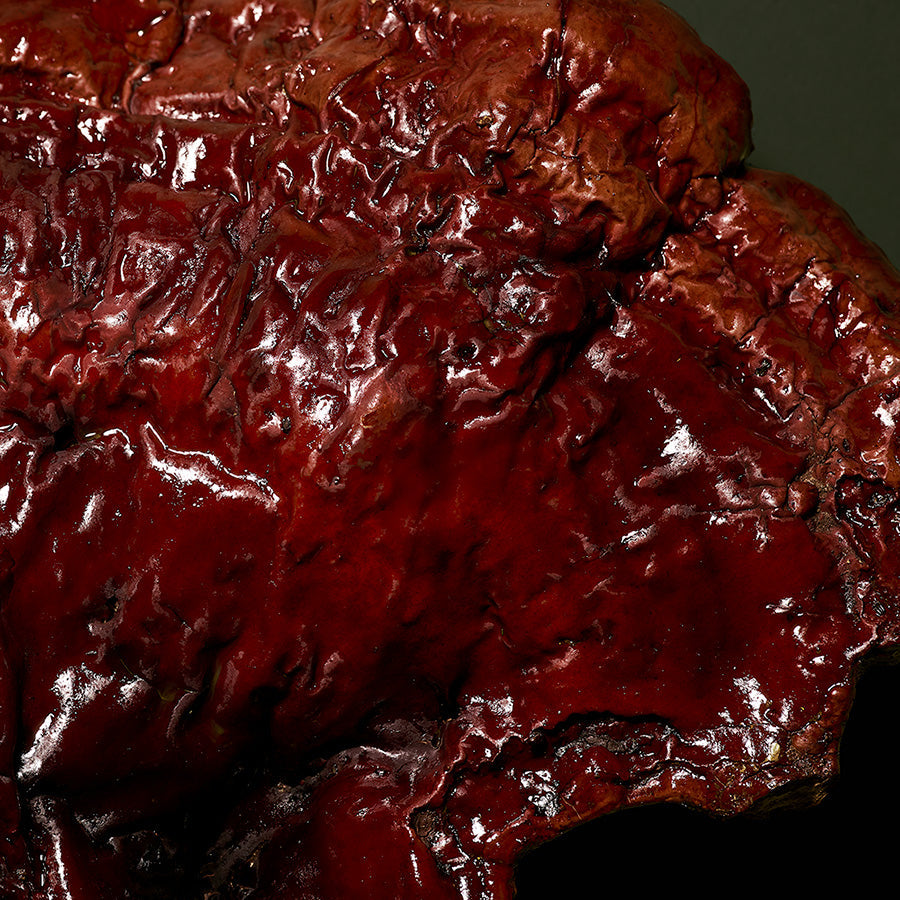 Sensitive / Rød hud